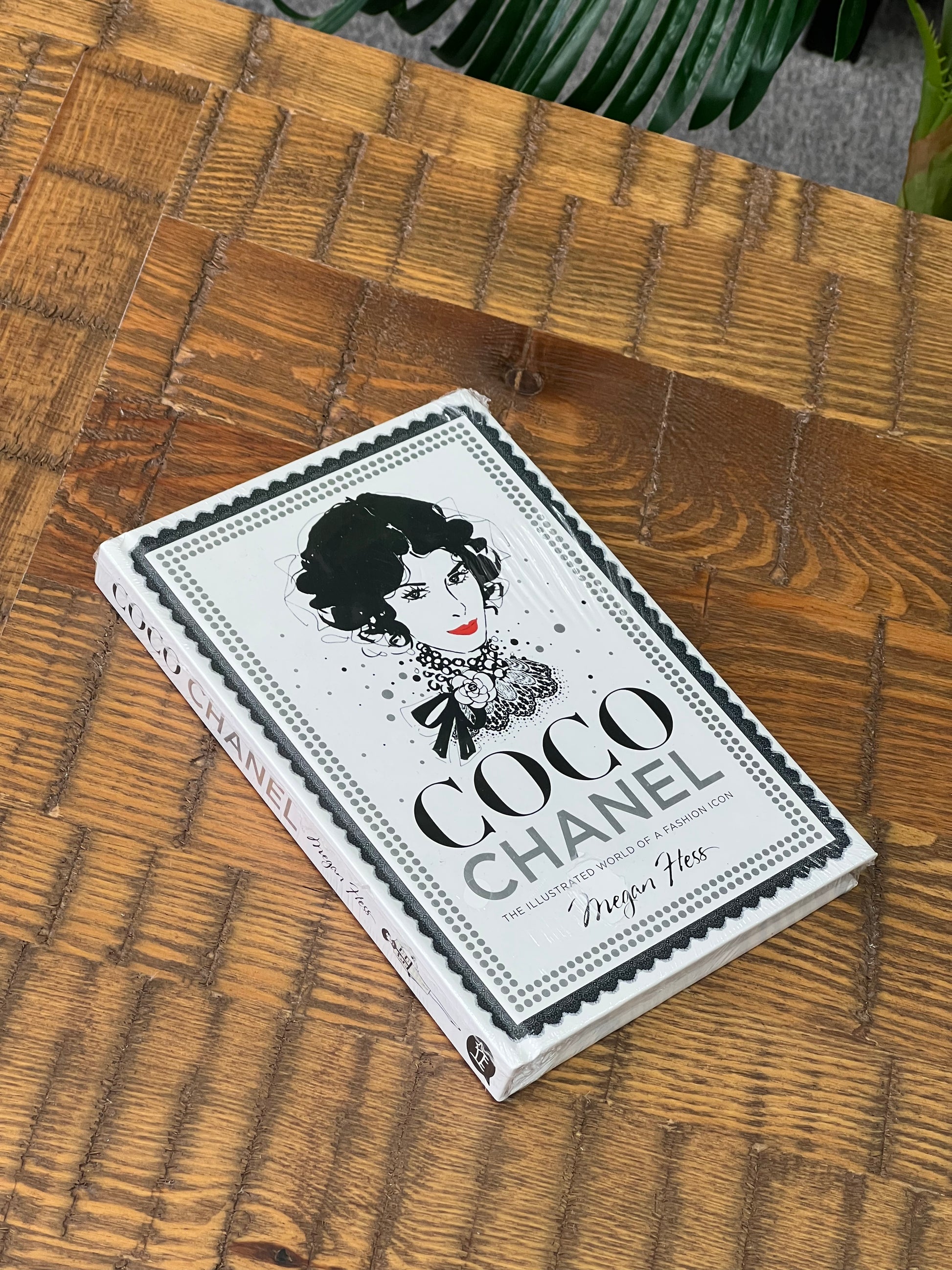 Coco Chanel Megan Hess Book (Kitap)